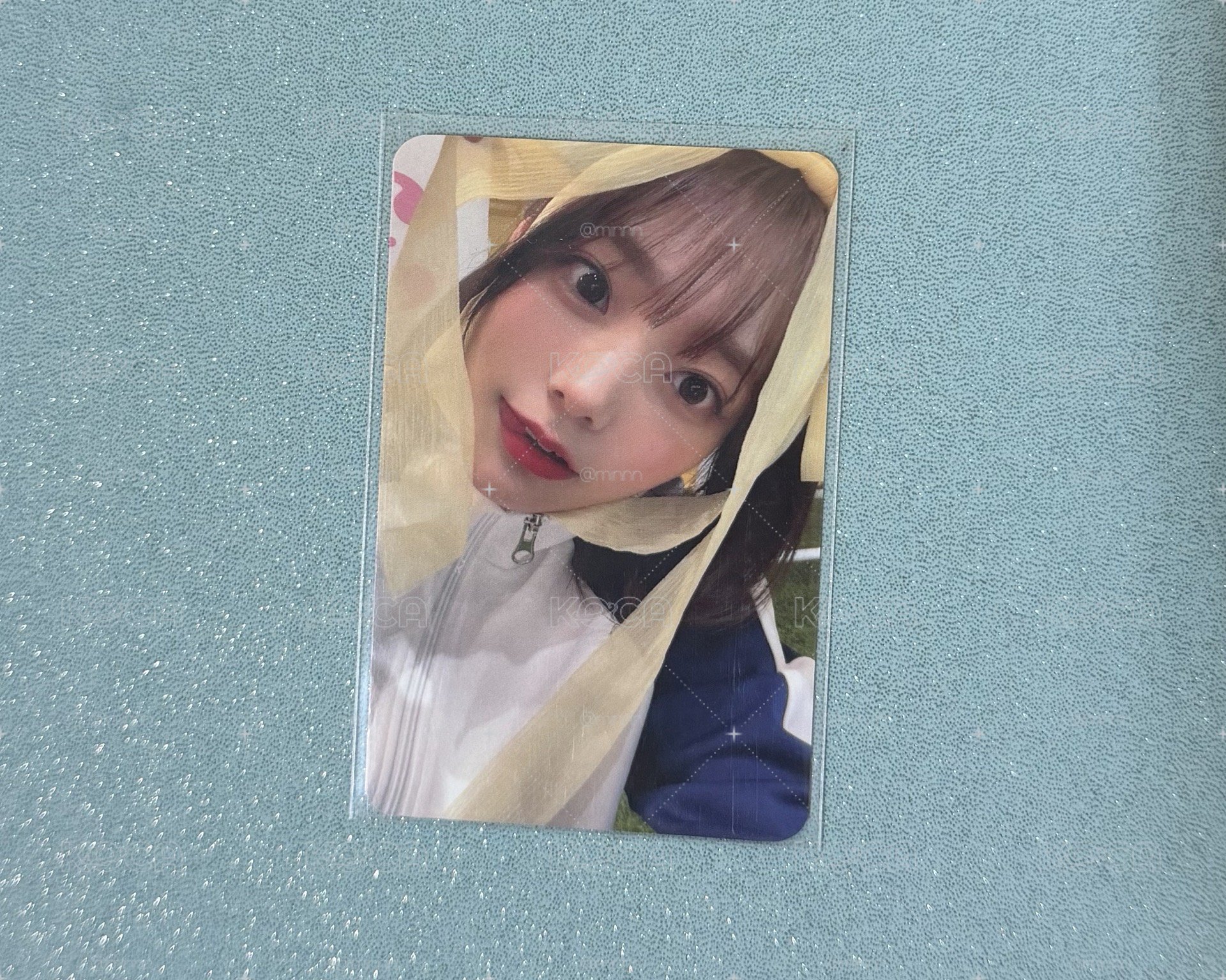 彩帶燕🎀