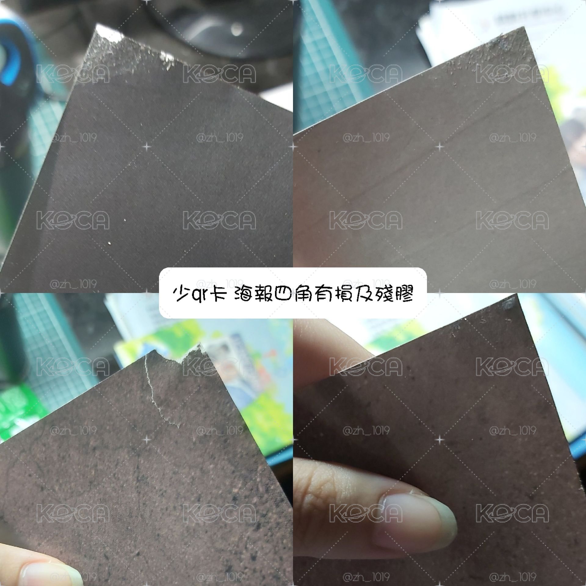 寧knight版全專+wvs特典