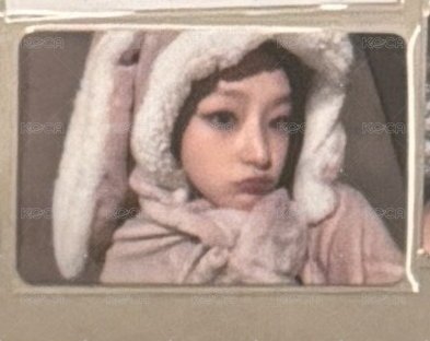 兔毯