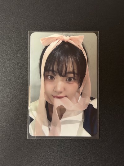 絲帶丹🎀