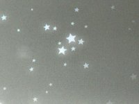 Meo