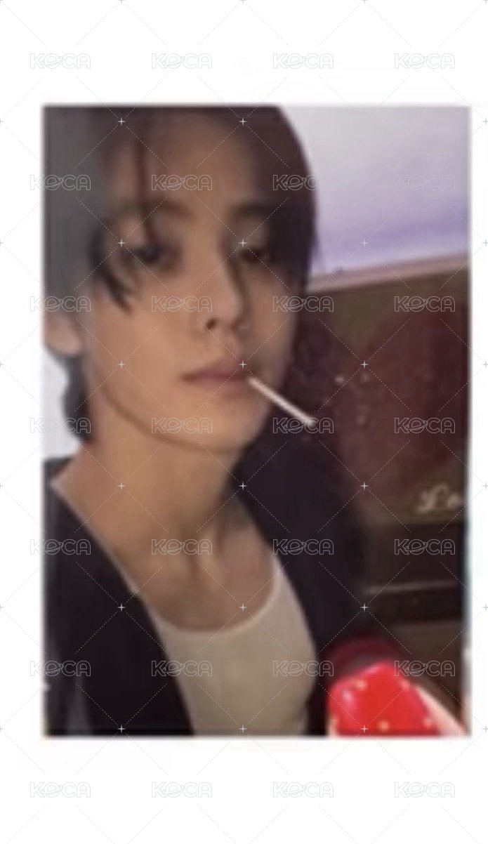 灰版全專嚴