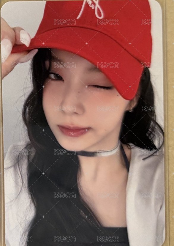 圭