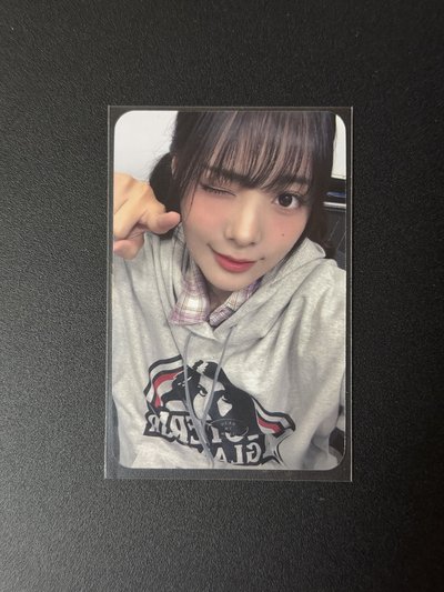 雙面燕