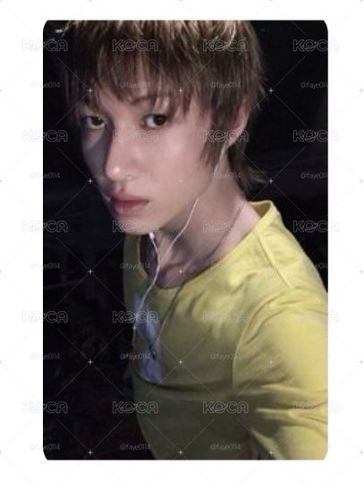 灰版電子專馬丁