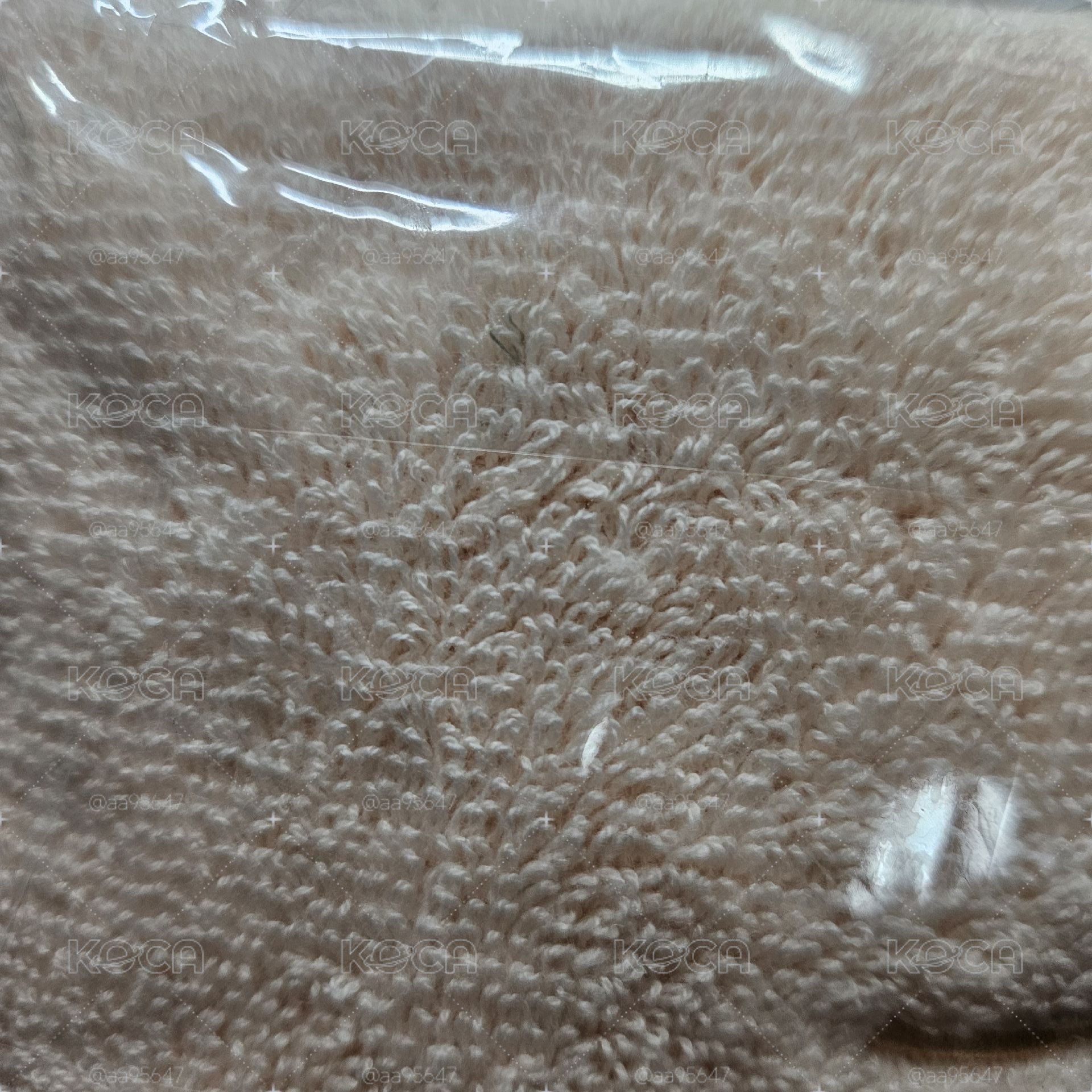 帕皮 入場禮