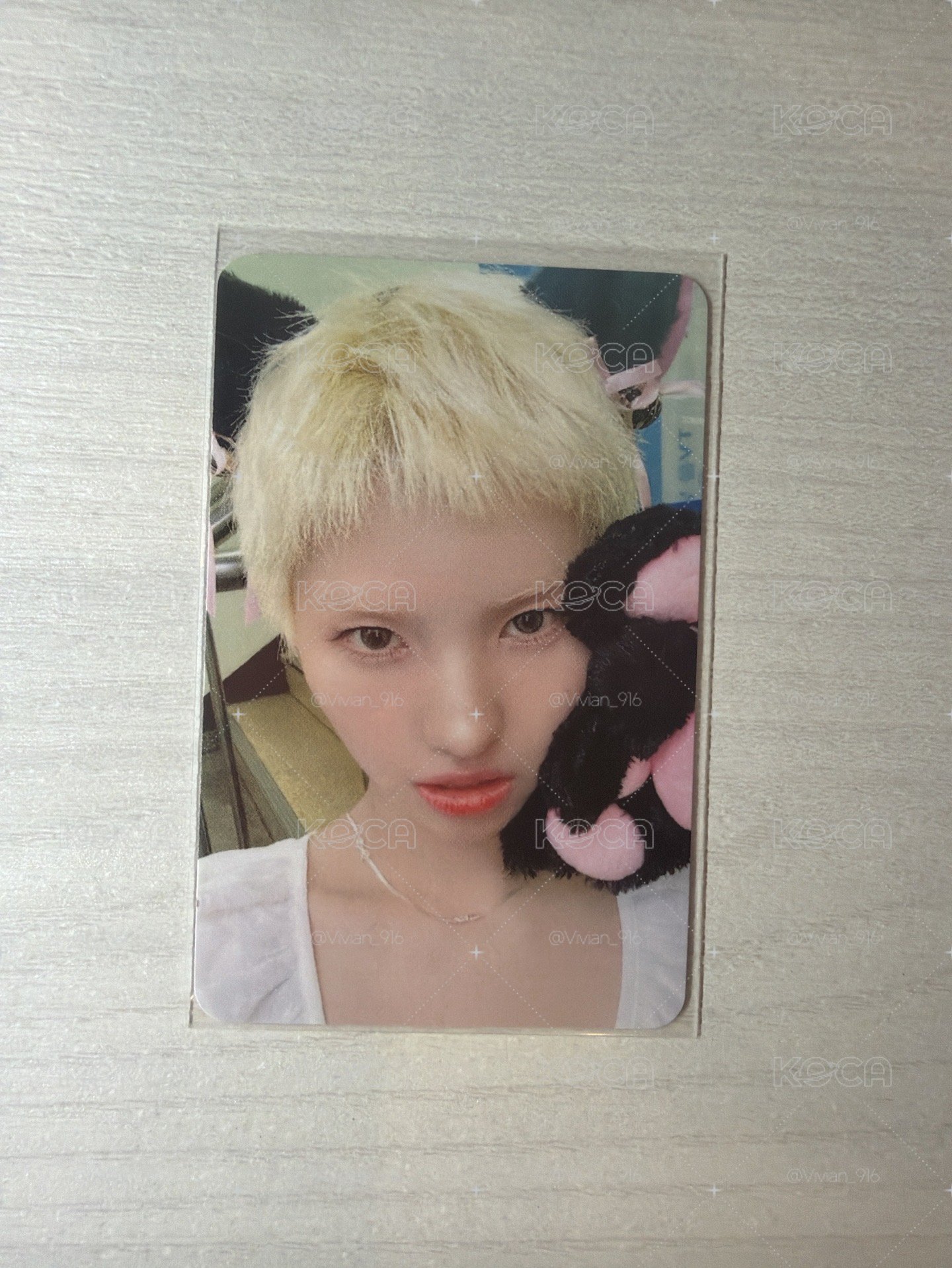 muvve3.0娟