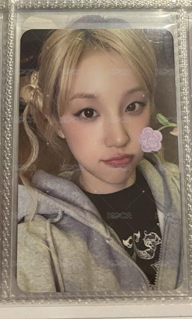 ms琦