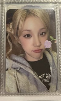 ms琦