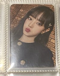會員禮妮