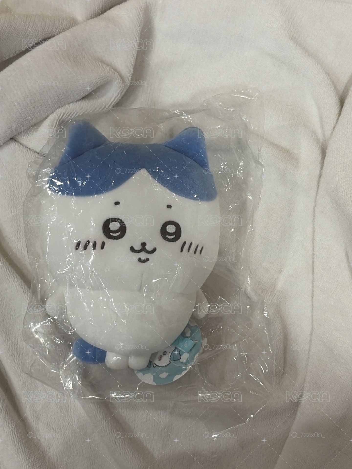 小腳小八S娃