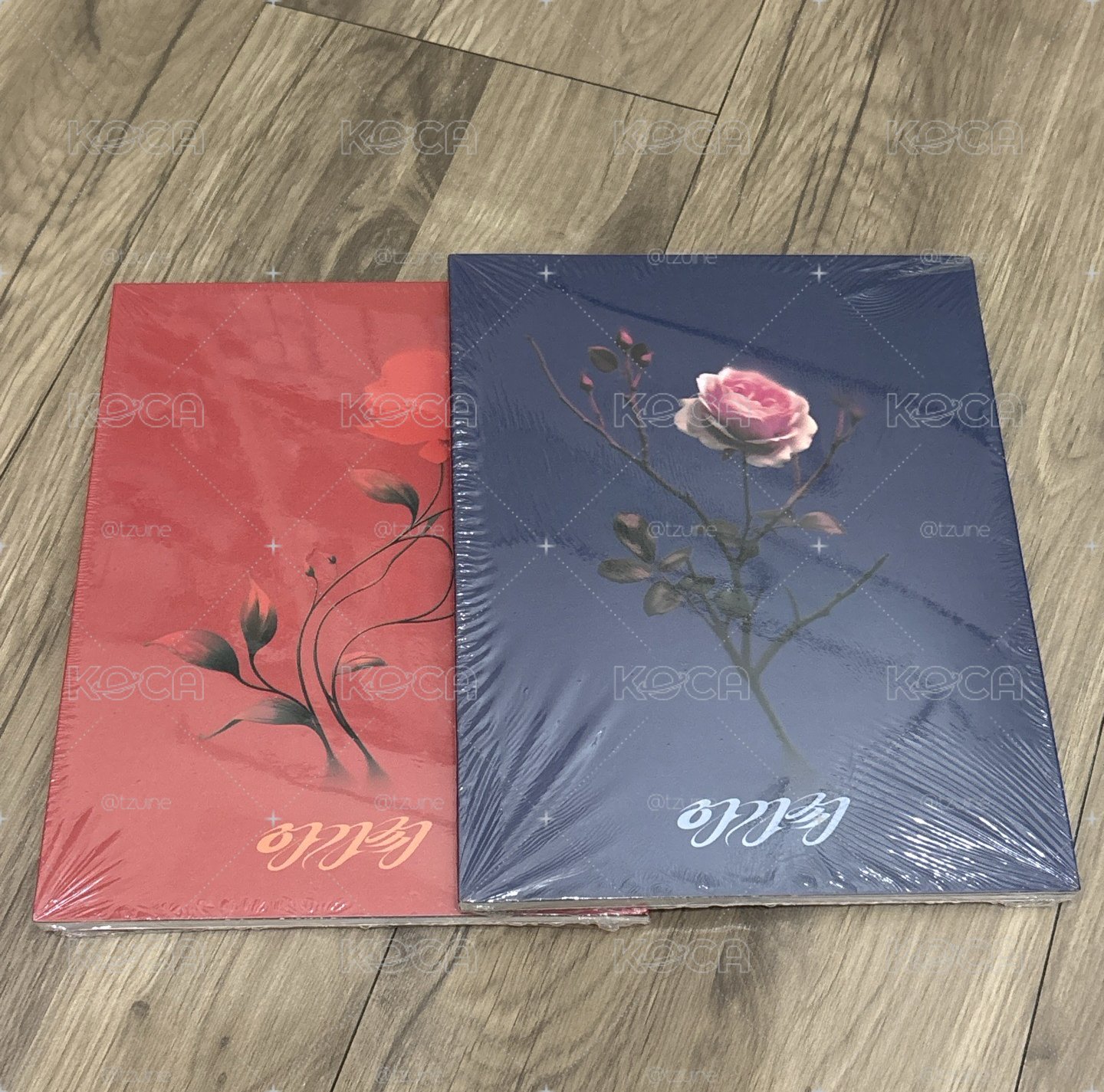 SOOJIN | AGASSY | 普版未拆專一套
