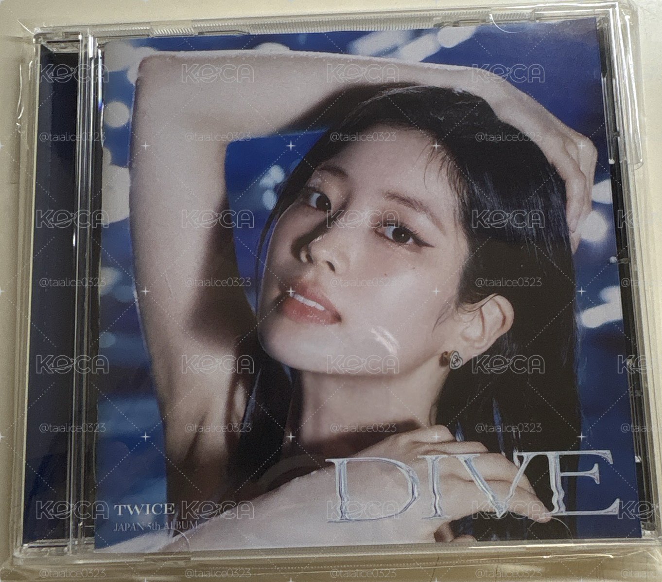 多賢DIVE