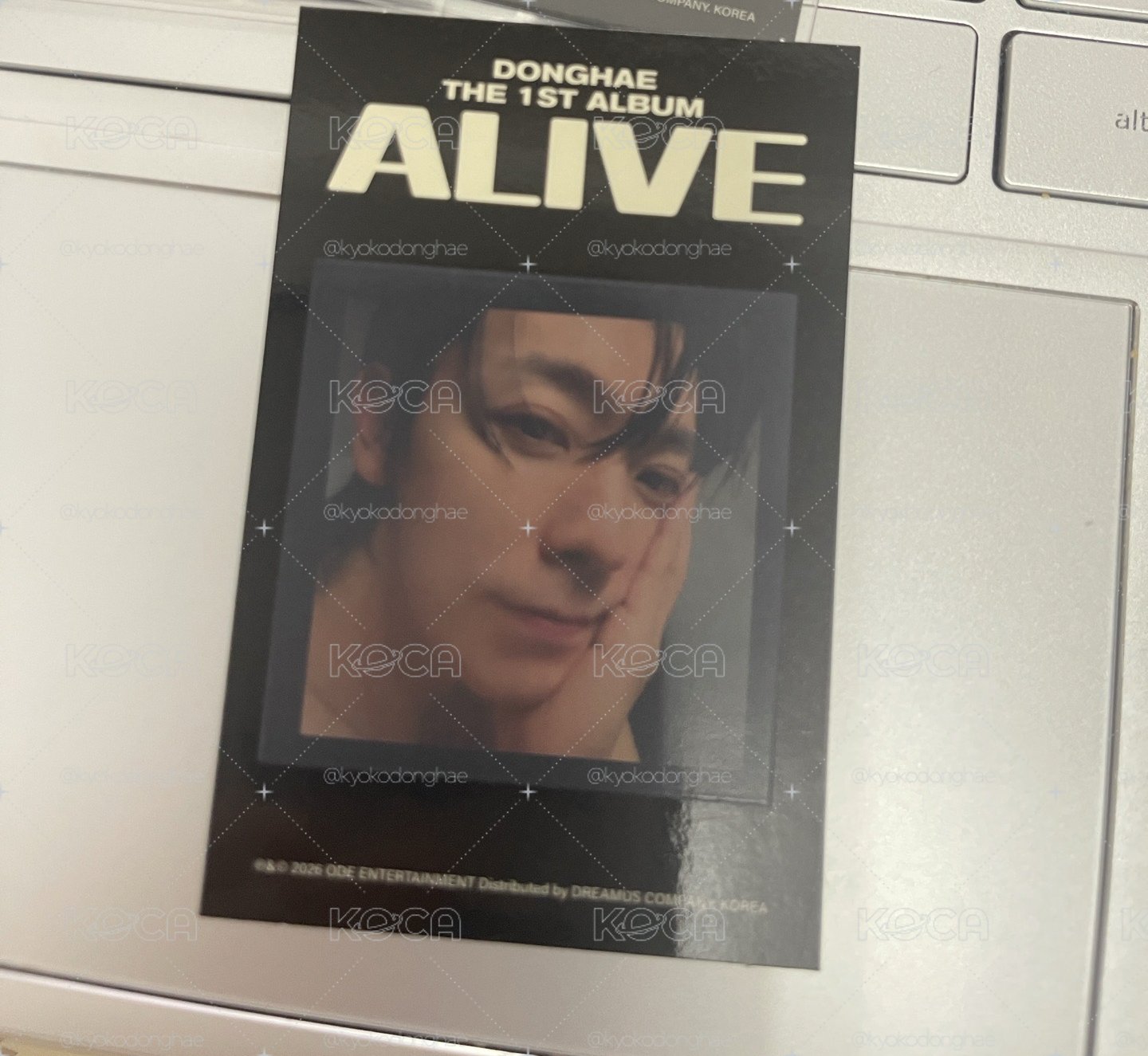 ALIVE PB東海solo專卡 熱感卡