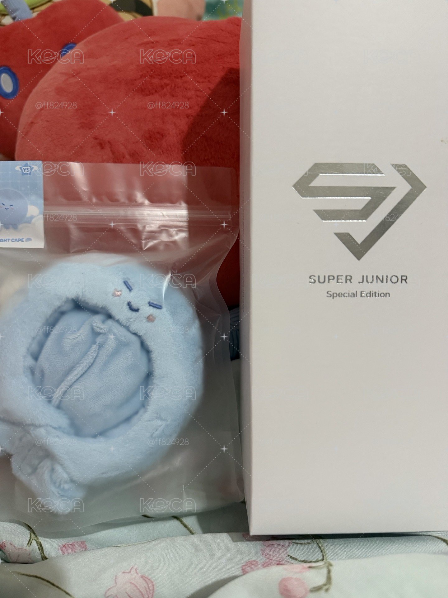 藝聲手燈套+手燈