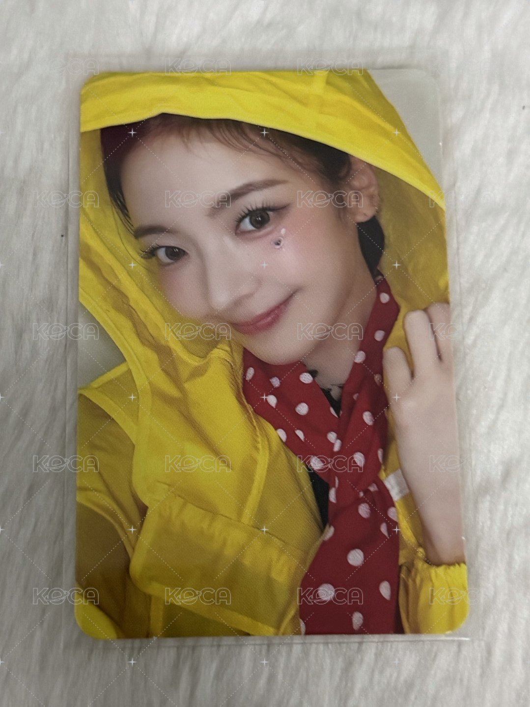 雨衣特典