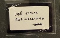 Harua 訊息卡