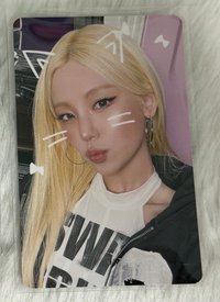 志