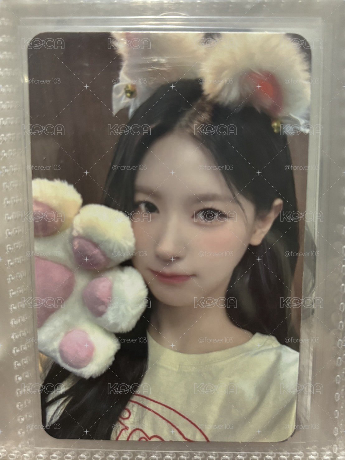 貓抓麵