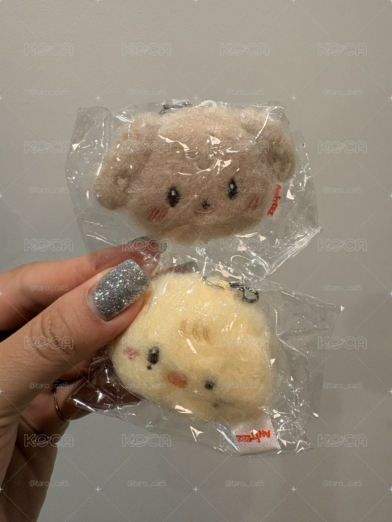 Aniteez 快閃隨機吊飾 潤琦🐶🐥