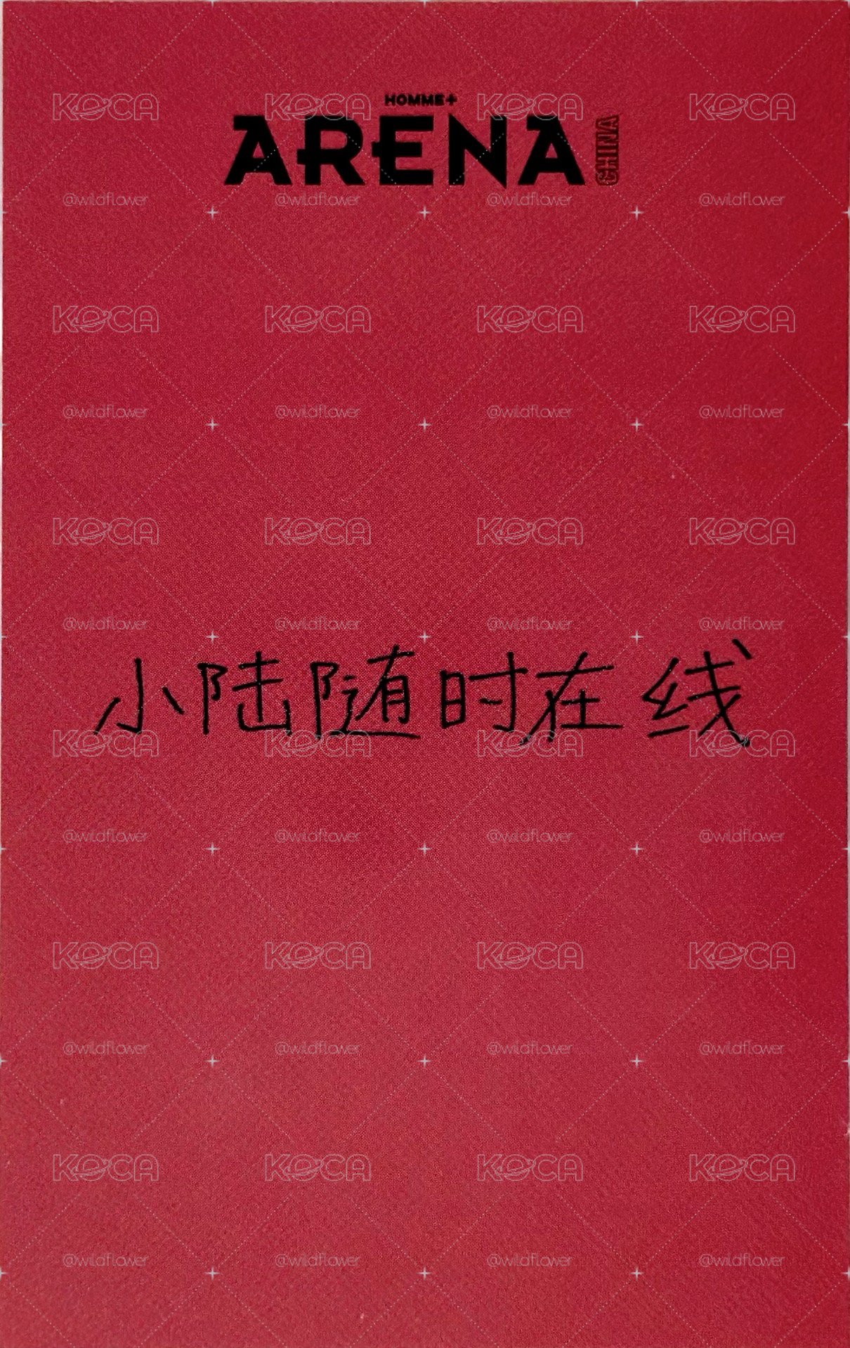 ARENA雜誌卡Riku 中文卡背