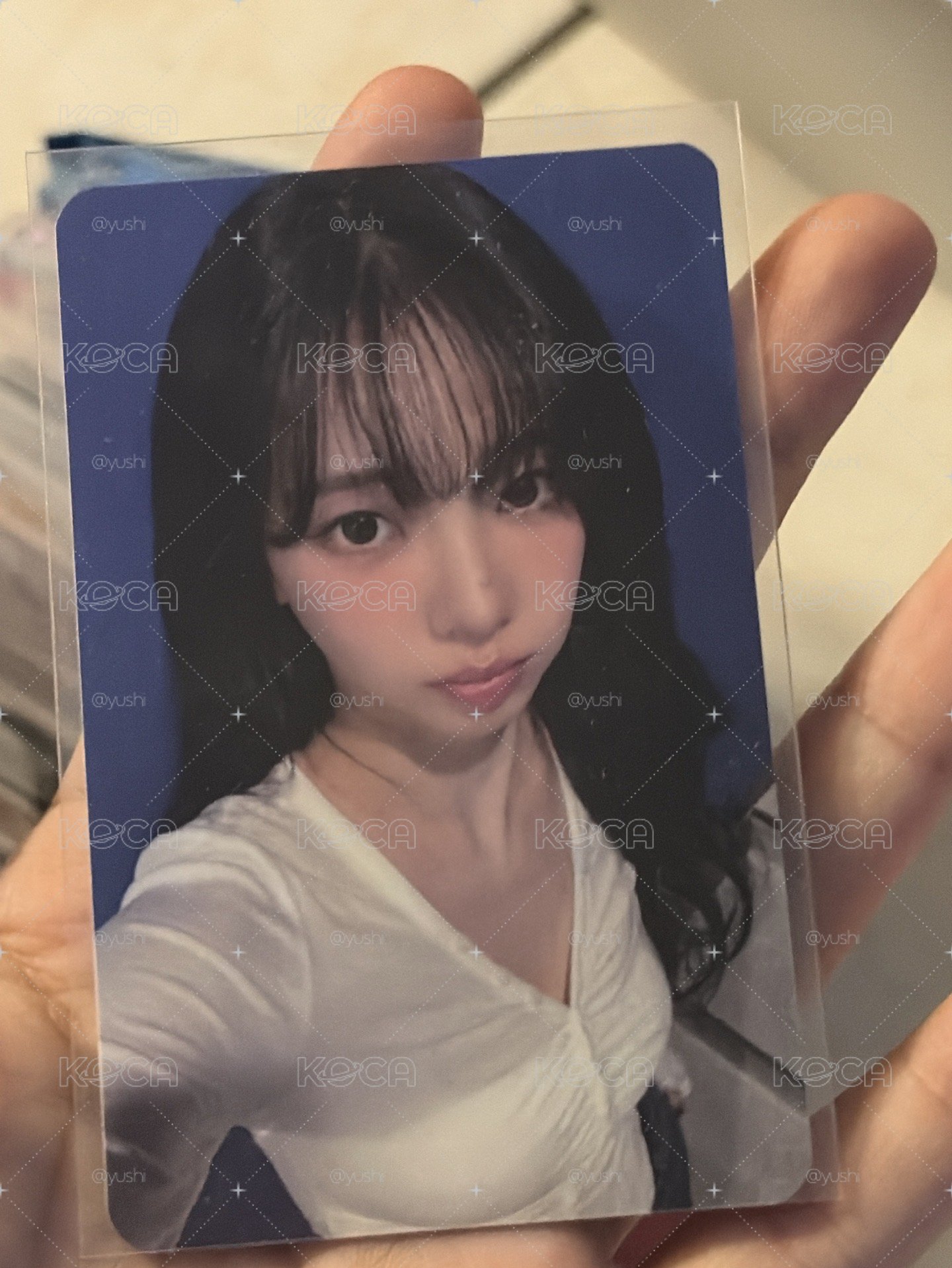 萌萌jp柚 現貨