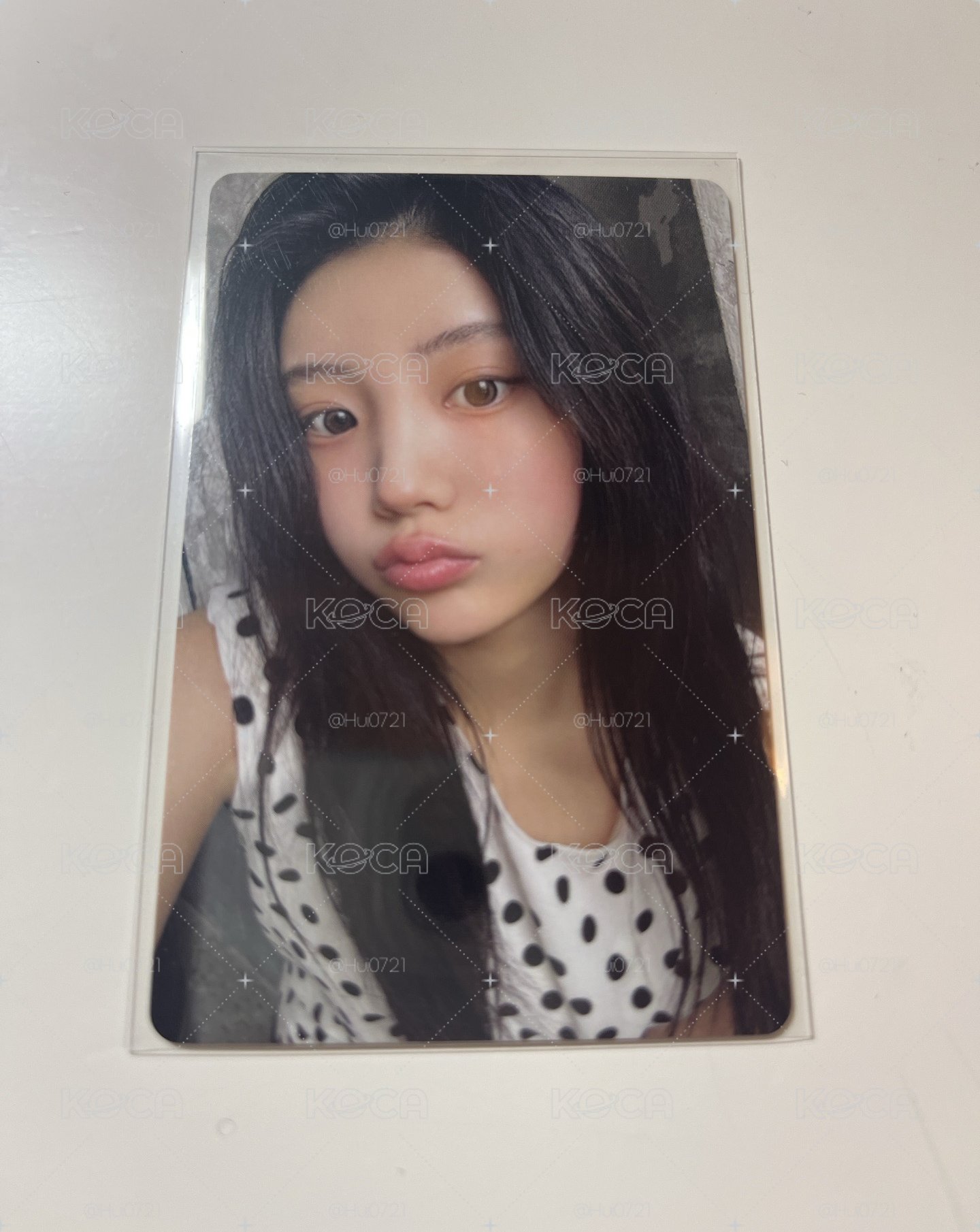 你的豚博基尼