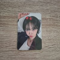 Sinb wm
