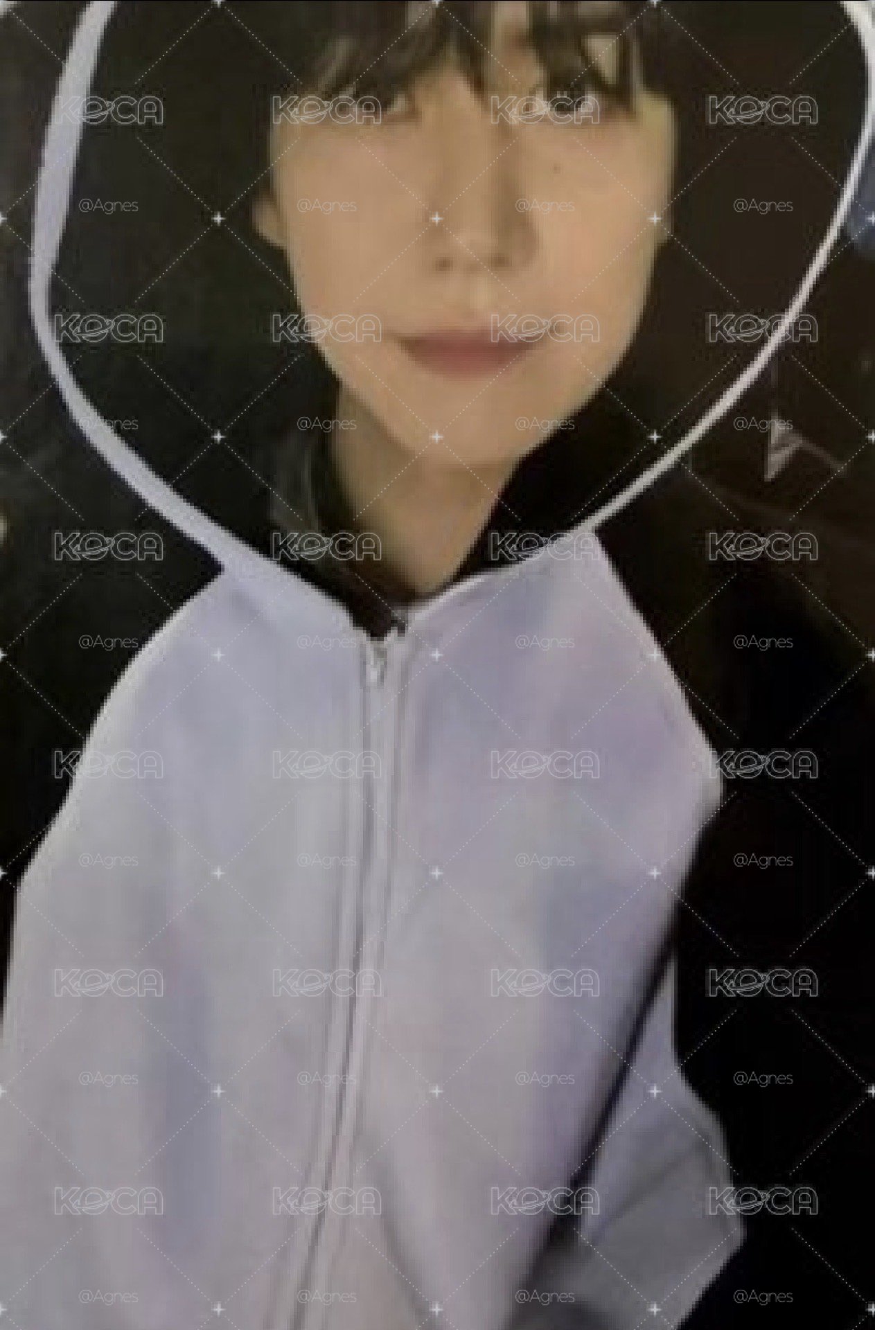企鵝簽售 $200