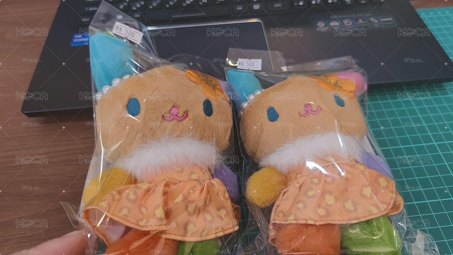曬黑花小兔