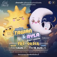 大娃 Only you官方周邊（Tawan & Ayla Fluffy Cushion）
