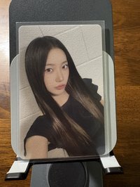 京東預售 特典葉 中背