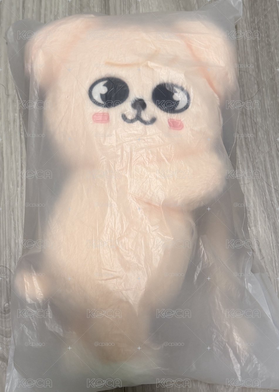 非現帕皮側背娃