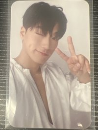 💛吉隆坡亮亮粽