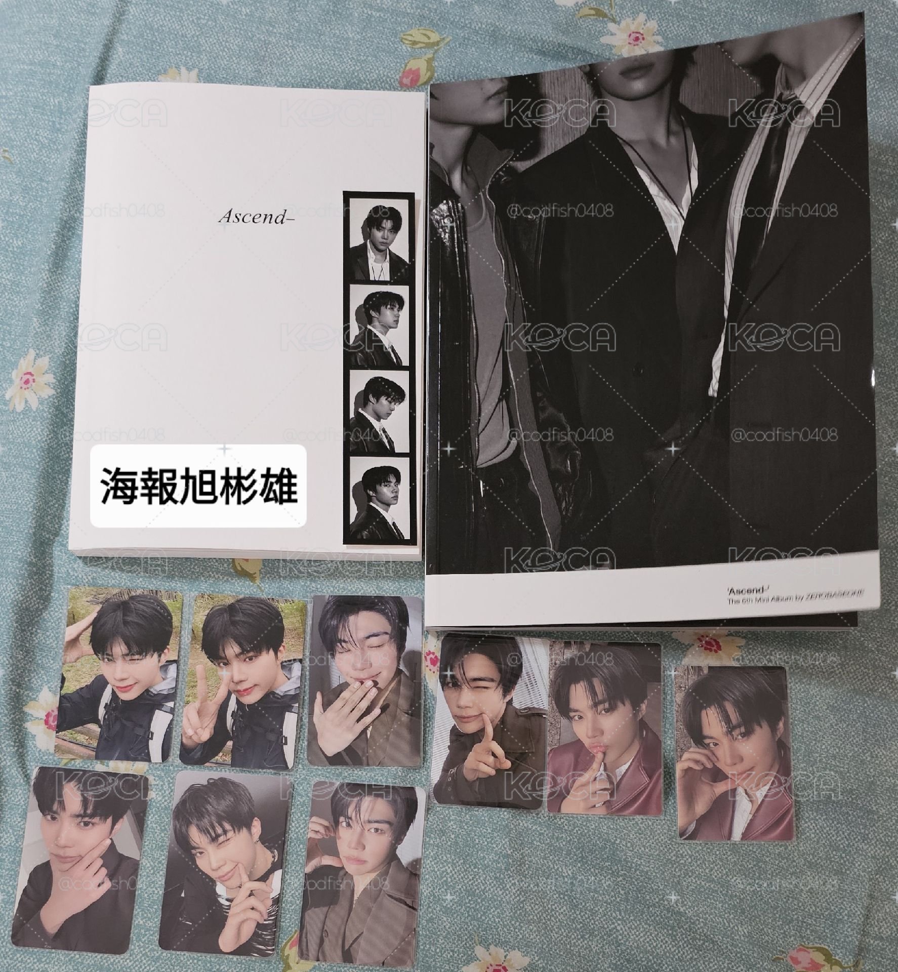 迷六旭特典+專卡