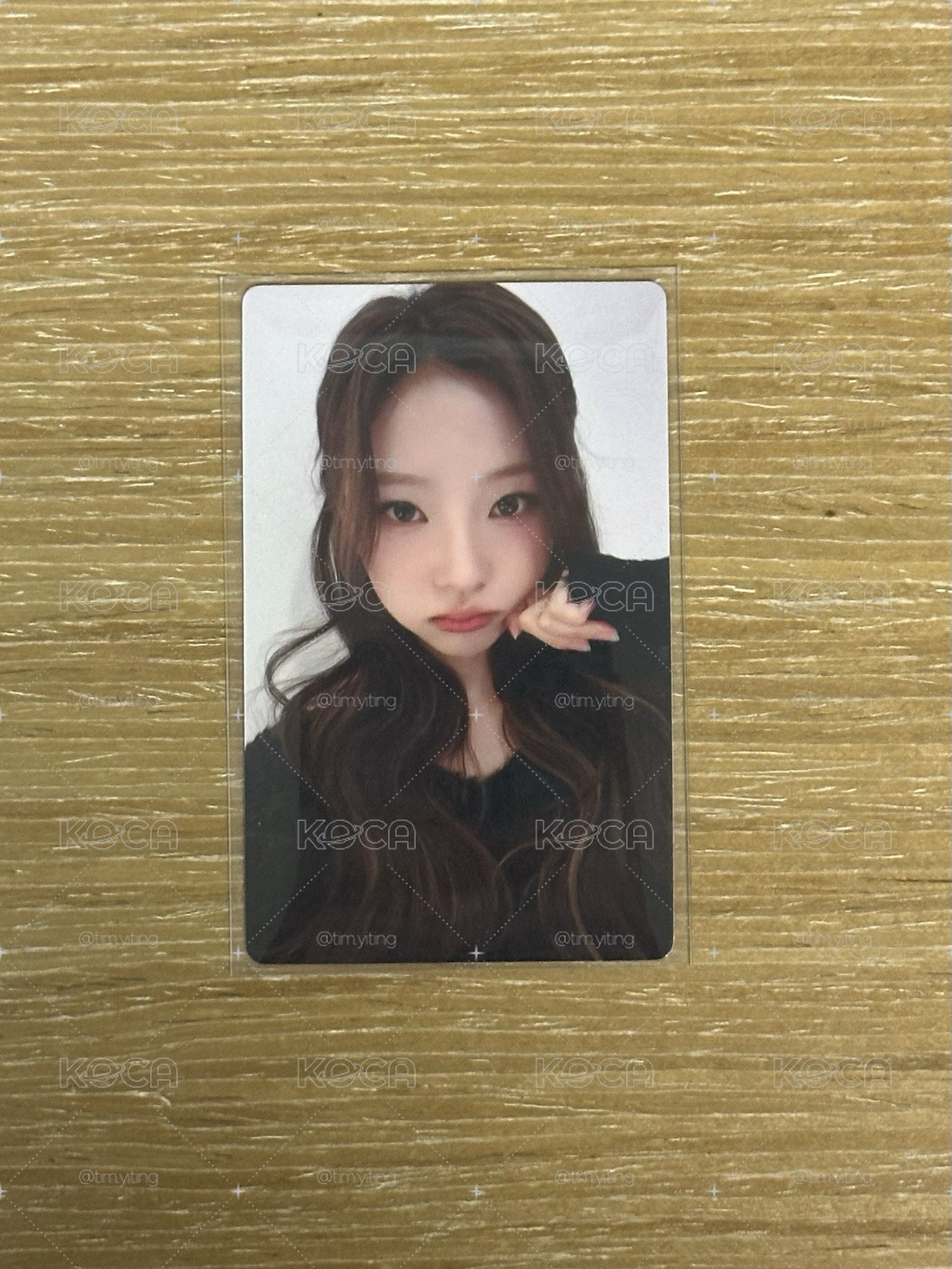 Stella ju簽售