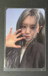 打歌丹 （單收）