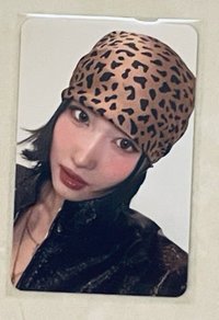 特四 專輯卡
