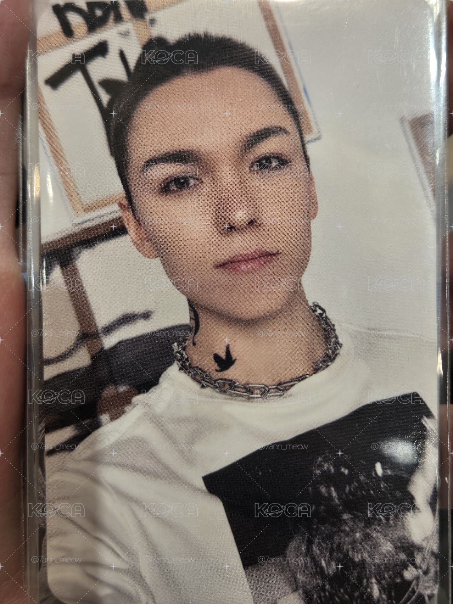 正五 專輯卡 CARAT ver.