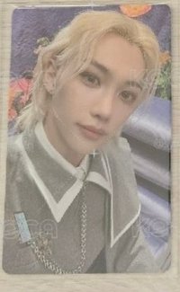 FELIX