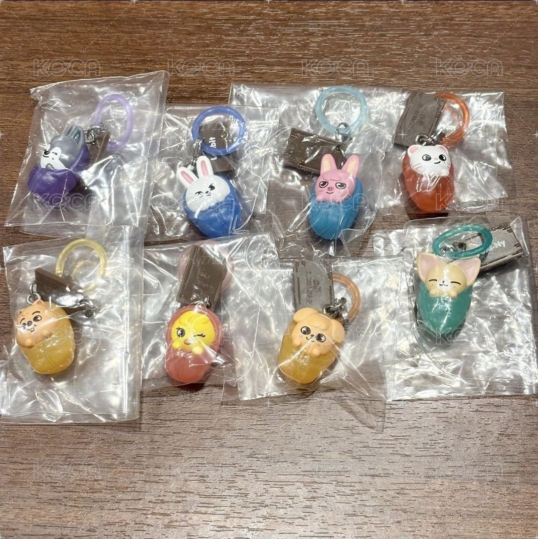 Skzoo 露營扭蛋