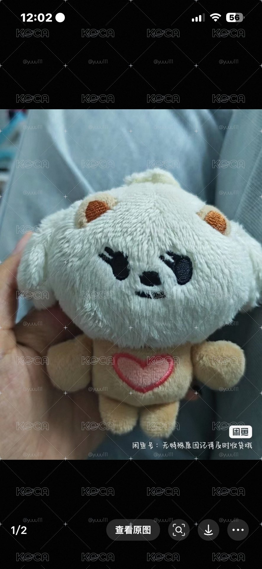 dg 🌰嘻娃 直出無捆