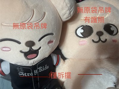 迷孩大盤