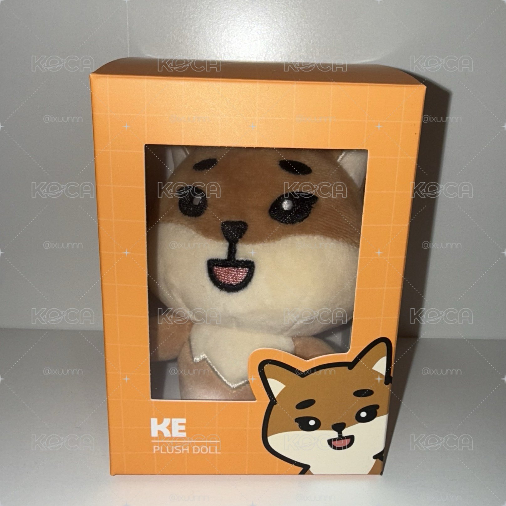 🦊2019