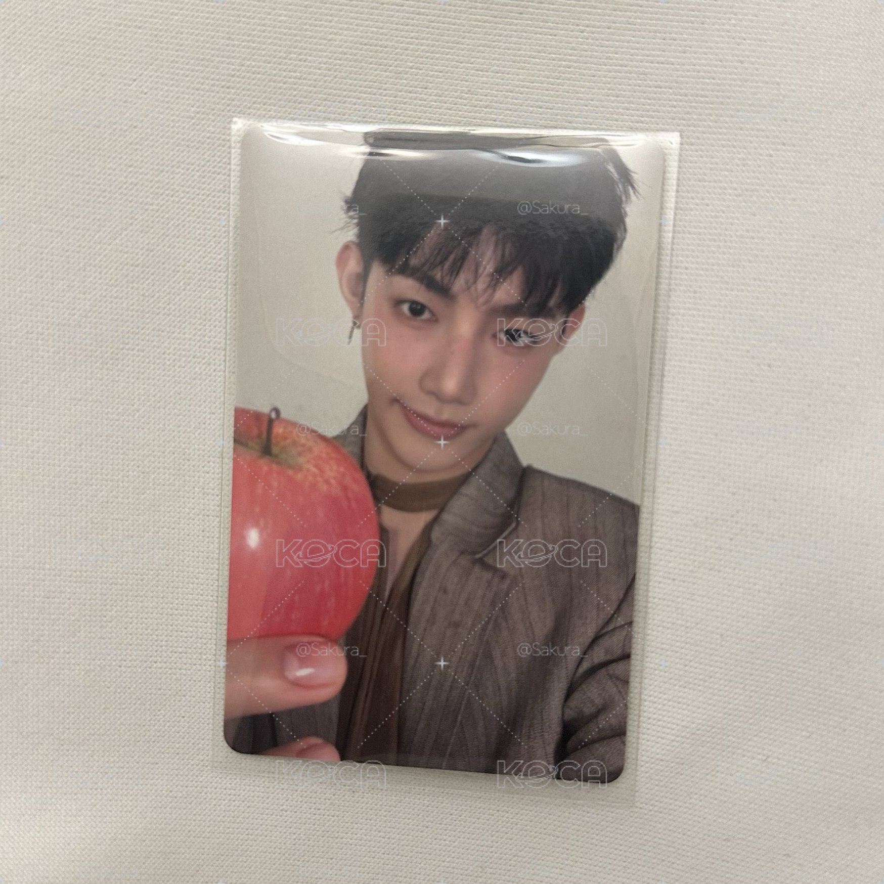 蘋果昊🍎