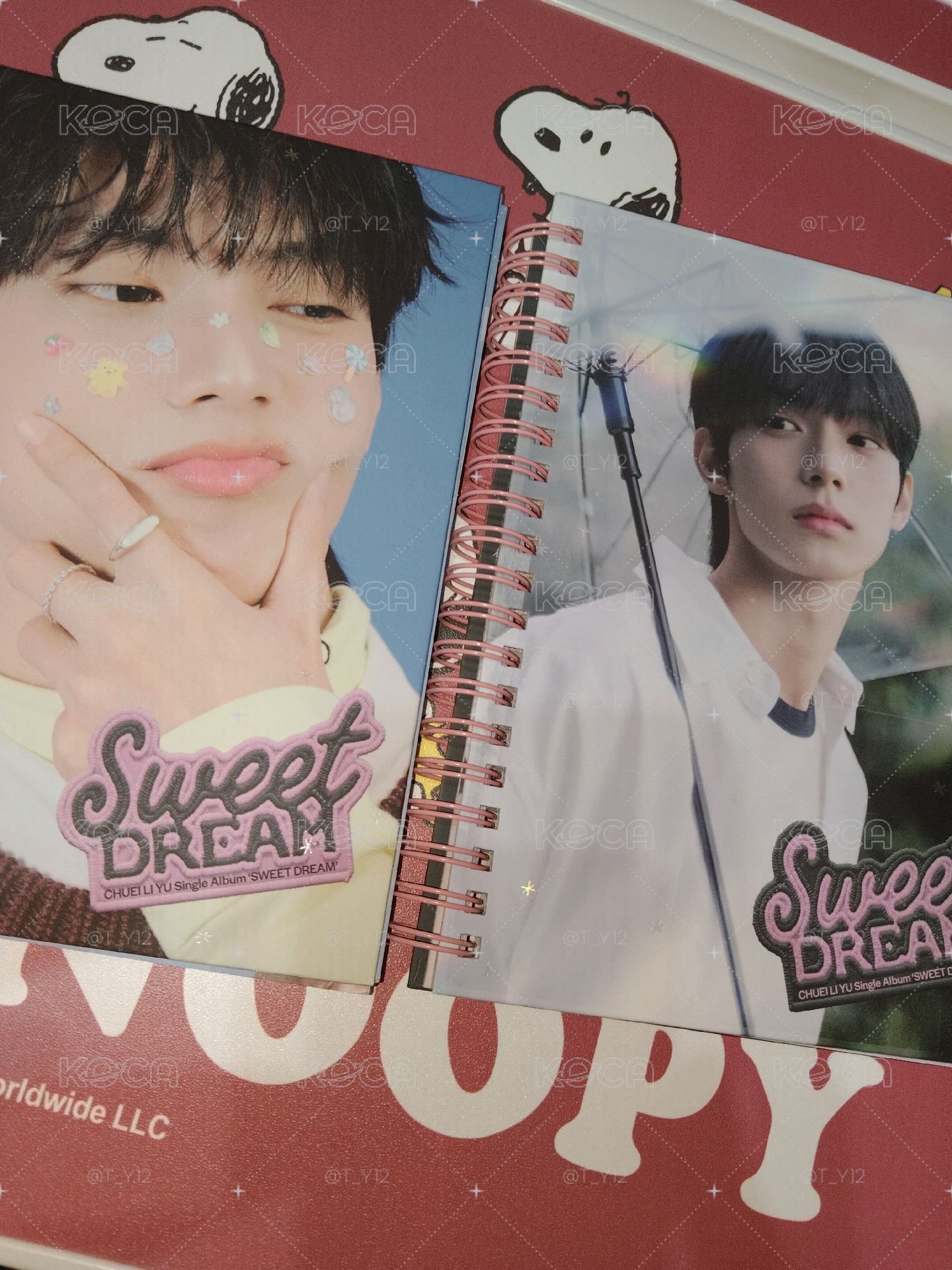崔立于 swett dream 空專