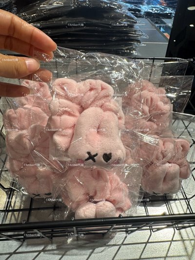 現貨+代購 寶怪日本場周 手燈套