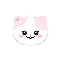 二巡 JYP JAPAN 日版 TWINZY 扇套 NAong