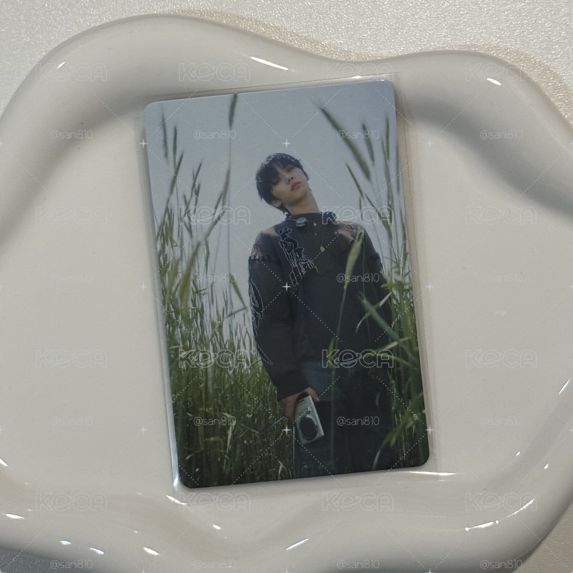 WHY.. 星光卡 4 泰山 TAESAN