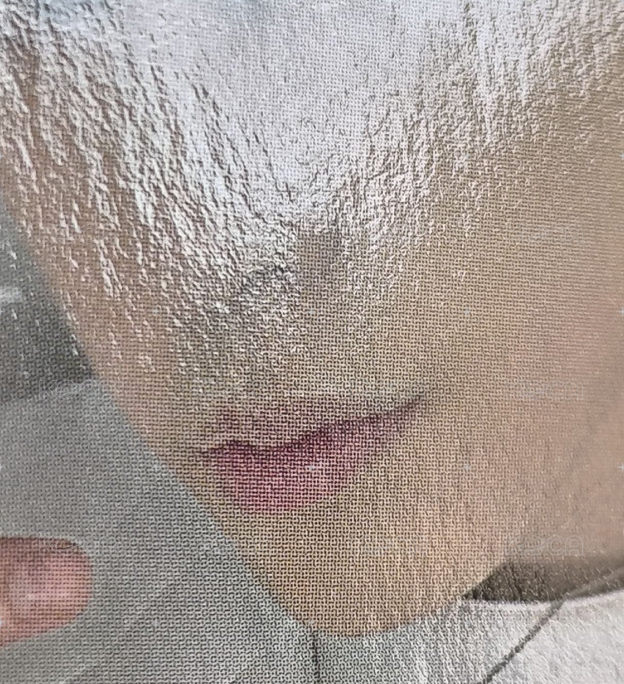 8（鼻子那裡有小傷）